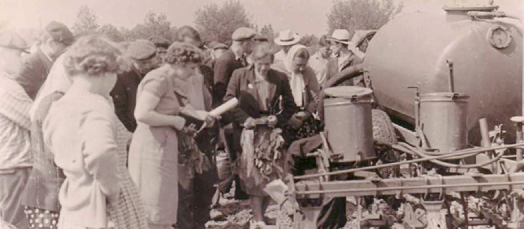 На семинаре по уходу за посевом кукурузы.  Буйничи,  Могилевский район, 1963 г. 