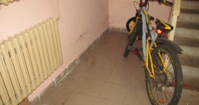 Эксперты помогли раскрыть кражу велосипеда в Могилевском районе Эксперты помогли раскрыть кражу велосипеда в Могилевском районе