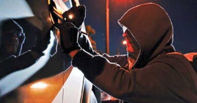 Автомобильные воры не дремлют Автомобильные воры не дремлют