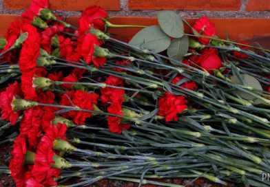 В Могилевском районе передадут россиянам останки погибшего в 1941 году красноармейца из Тульской области