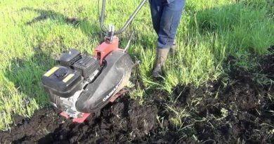 В Могилевском районе под культиватор затянуло ногу женщины В Могилевском районе под культиватор затянуло ногу женщины