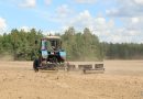Начальник Могилевского райсельхозпрода: работы по подсеву многолетних трав необходимо завершить до 10 июля
