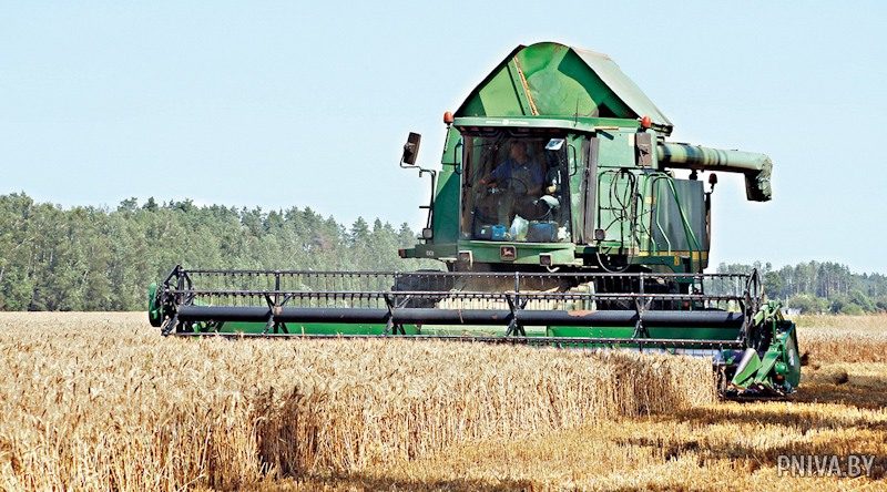 7 фактов о сельском хозяйстве Могилевского района