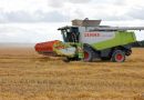 В Беларуси намолочено на 1,5 миллиона тонн зерна больше прошлогоднего