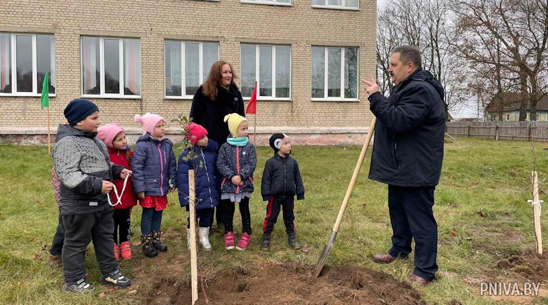 Вендорожская школа Могилевского района присоединилась к республиканской акции “Сад надежды”
