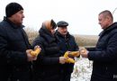 Заместитель премьер-министра Леонид Заяц проверил ход уборки кукурузы на зерно в ЗАО “Агрокомбинат “Заря”