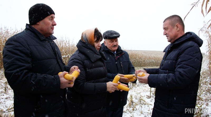 Заместитель премьер-министра Леонид Заяц проверил ход уборки кукурузы на зерно в ЗАО “Агрокомбинат “Заря”