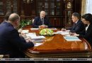 Александр Лукашенко обратил внимание министра здравоохранения на лечение людей в районах и анонсировал внезапные проверки