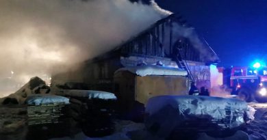 В Могилевском районе горело здание столярного цеха