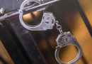 Под Могилевом с поличным поймали наркозакладчика: ему грозит до 20 лет лишения свободы
