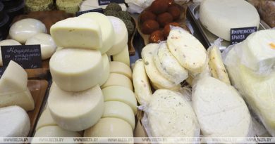 В Беларуси планируют развивать производство сыров с плесенью