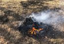 В Могилевском районе школьник получил ожоги