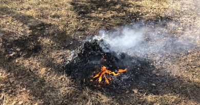 В Могилевском районе школьник получил ожоги