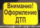 На трассе Минск – Могилев легковушка столкнулась с лосем, водитель госпитализирован