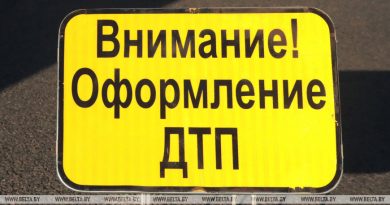 На трассе Минск – Могилев легковушка столкнулась с лосем, водитель госпитализирован