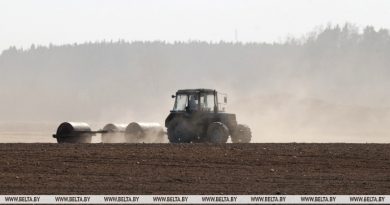 В Беларуси завершается сев кукурузы на зерно