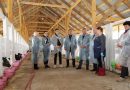 Опыт животноводческого производства ОАО «Тишовка» оценил глава Могилевского района