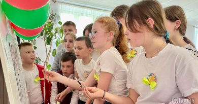 Праздник здоровья в Дашковке. Для сельчан организовали мини-поликлинику, а для детей квесты