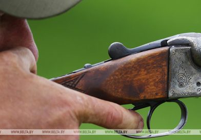 Охота на лося, оленя благородного и лань начинается в Беларуси