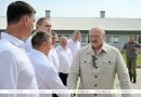 “Почему не интенсифицировать процесс?” Александр Лукашенко поставил принципиальные вопросы в сфере козоводства