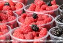 Сезон сбора ягод и грибов в самом разгаре: нужно ли платить налог