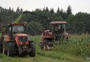 В Могилевском районе стартовала уборка кукурузы на силос