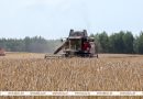 “Ниже нельзя!” Лукашенко призывает закрепиться на уровне урожая зерновых этого года