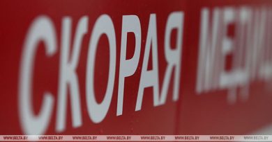 Могилевчанку на даче укусила оса, женщина скончалась от аллергии Могилевчанку на даче укусила оса, женщина скончалась от аллергии