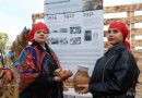 Собрали самые яркие моменты фестиваля-ярмарки тружеников села «Дажынкi-2025» в нашем фоторепортаже