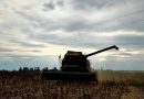 Аграрии ООО «Птицефабрика «Романовичи» продолжают работы осеннего сезона