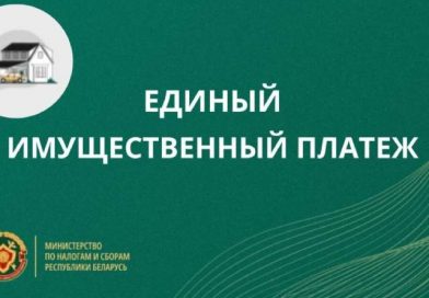 ИМНС по Могилевскому району напоминает: оплатить имущественный налог необходимо не позднее 17 ноября
