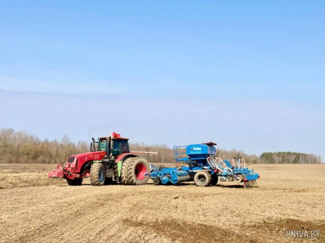 Хозяйства Могилевского района открывают посевную кампанию