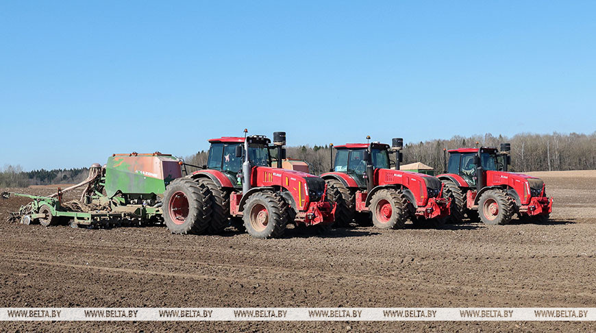 В Беларуси засеяно 40% площадей яровых культур