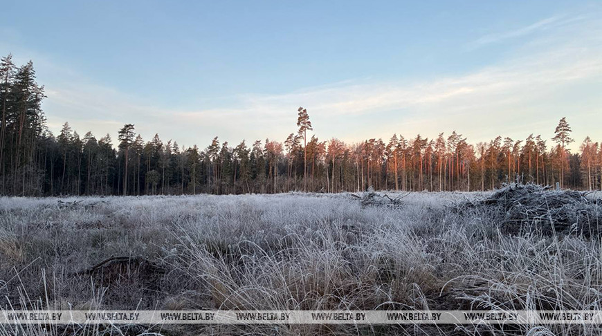 В Беларуси объявлено штормовое предупреждение на 24 апреля из-за заморозков