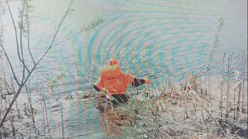 В Житковичском районе в водоеме обнаружили тело женщины