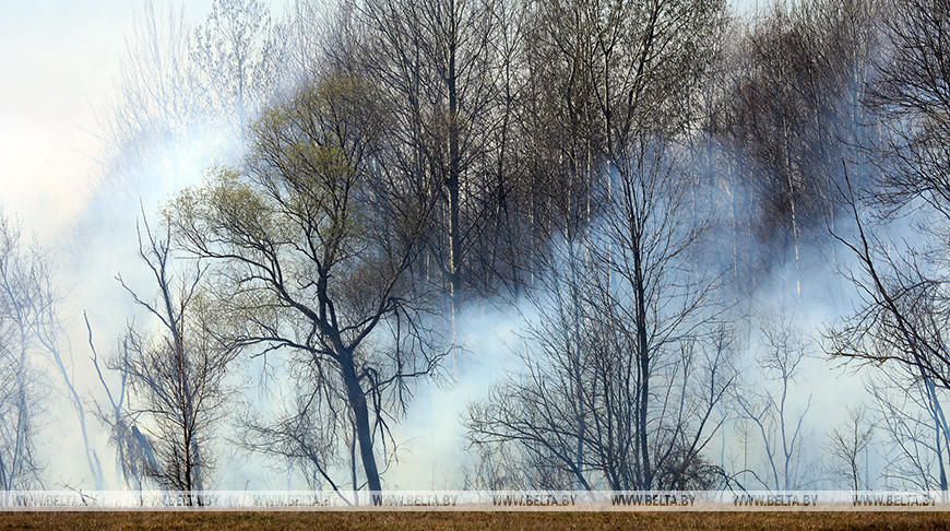 Работники МЧС и Минлесхоза ликвидировали три лесных пожара за сутки