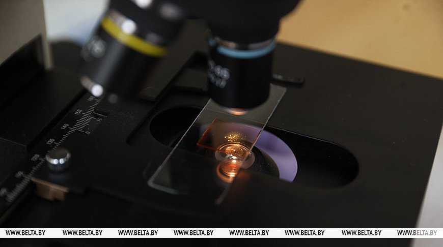 Уникальный белорусский биочип для аллергодиагностики проходит регистрационные испытания