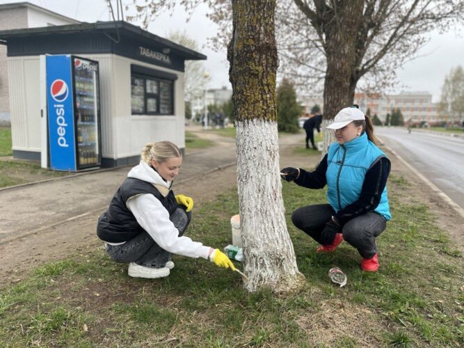 В Могилевском районе свыше 11 тысяч человек присоединились к республиканскому субботнику