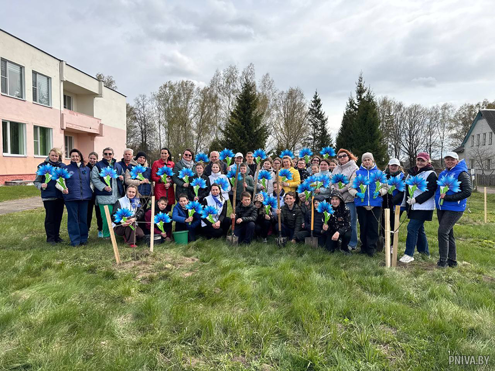 Яблоневый сад памяти, мира и надежды появился в Сидоровичской школе