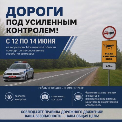 С 12 по 14 июня дороги – под усиленным контролем ГАИ