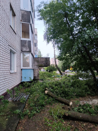 Без пострадавших: МЧС ликвидировало последствия порывистого ветра в Могилевской области