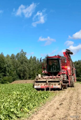 Жатва финиширует, но страда продолжается: аграрии Могилевского района наращивают темпы